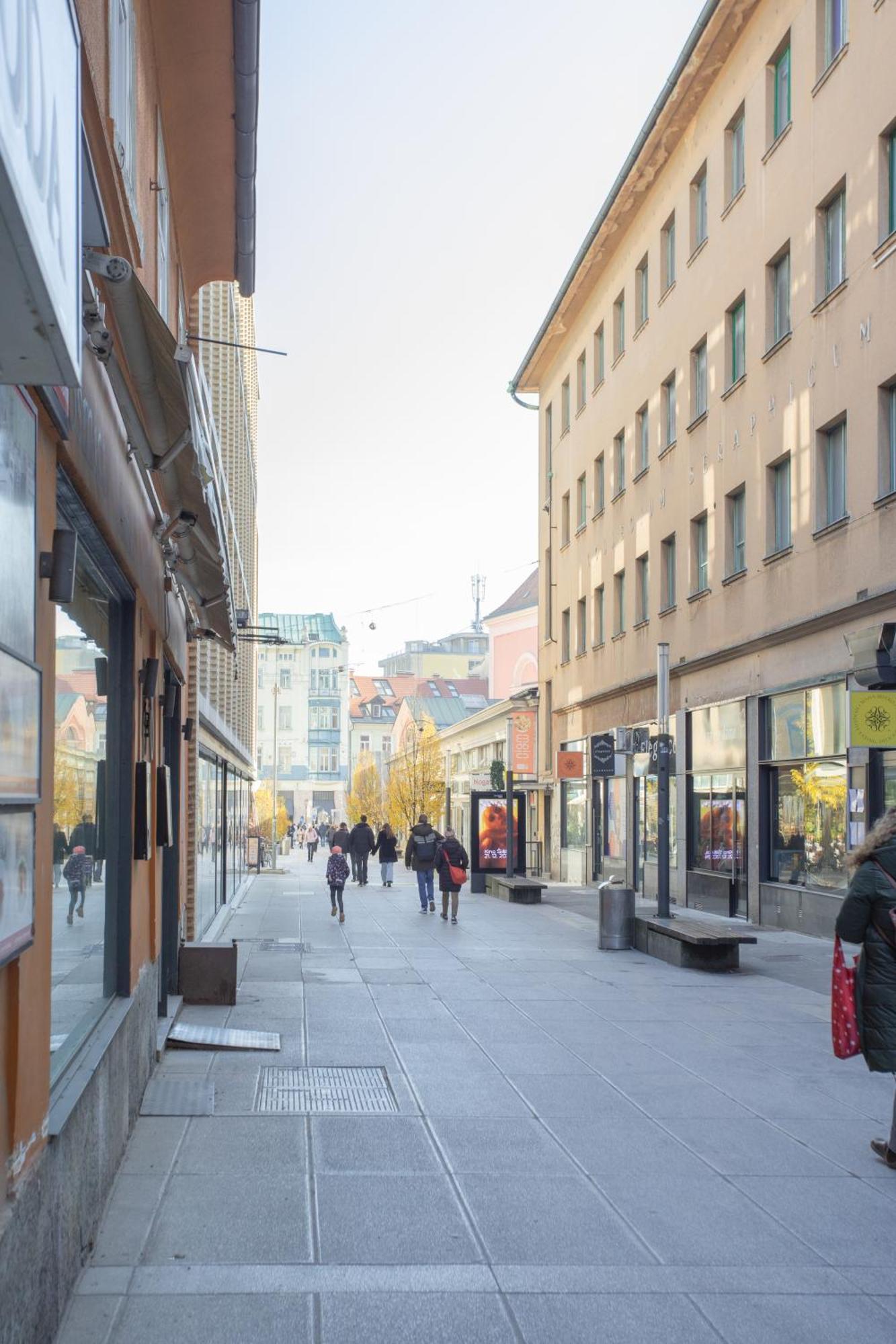 Stylish Loft In The Hearth Of Historic Centre Apartma Ljubljana